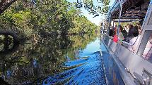 Noosa Everglades - Serenity Cruise 